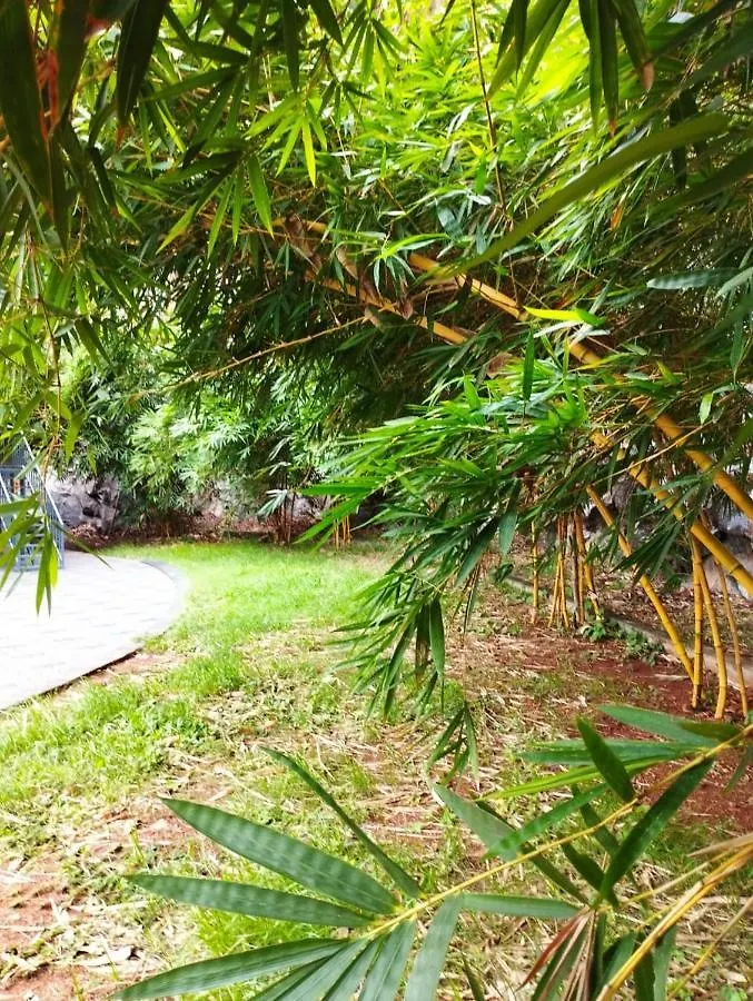 Nilambūr Rockdale Resort הודו